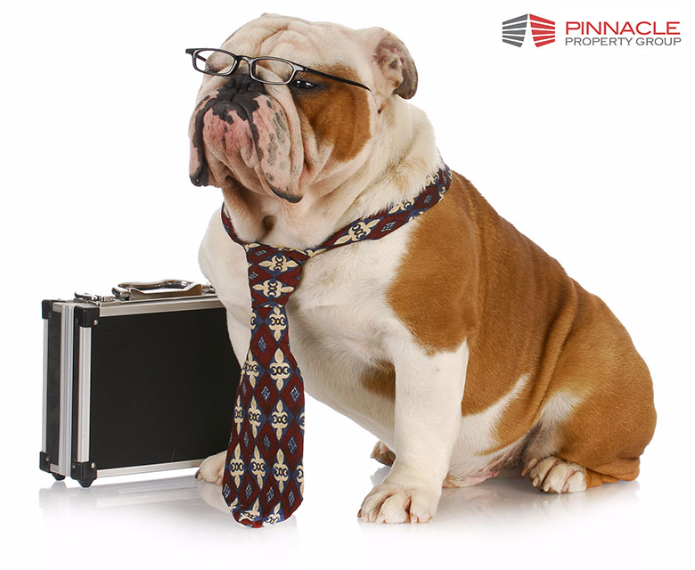 Property Tax Attorney Bulldog